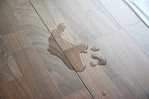 Kiểm tra khả năng chịu nước của sàn gỗ công nghiệp
