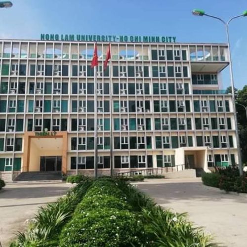 THI CÔNG THẢM PHÒNG HỘI TRƯỜNG, TRƯỜNG ĐẠI HỌC NÔNG LÂM TPHCM